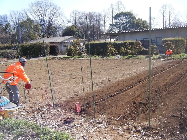 ジャガイモ用の耕耘