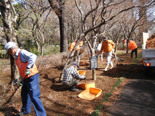 ホタルの小川清掃