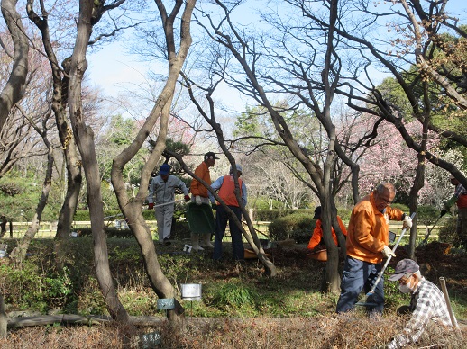 ホタルの小川清掃