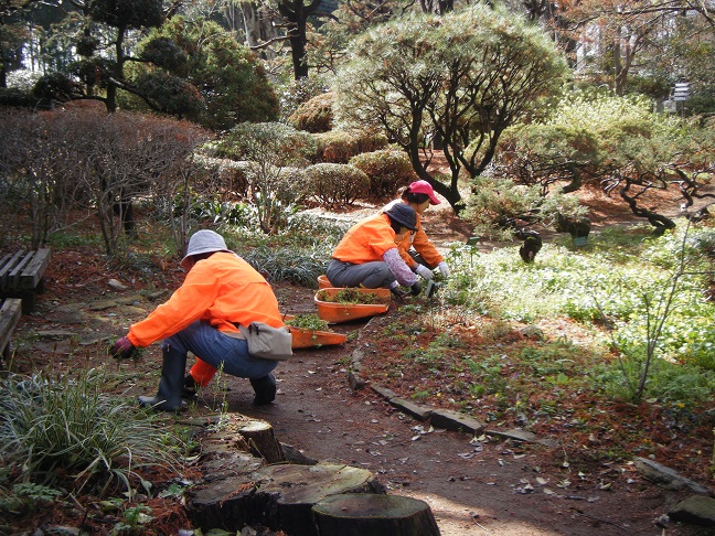 山野草ガーデン整備