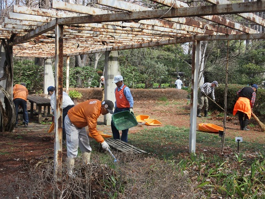 山野草ガーデン整備