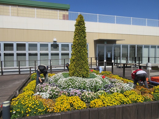 天空の散歩道除草作業