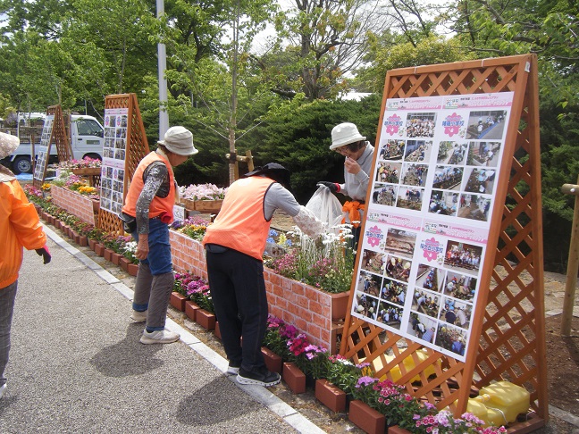 花フェスタ会場花の装飾