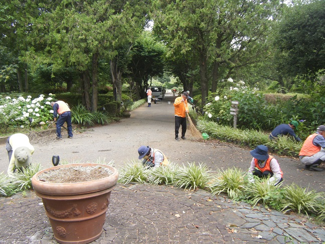 もみの木サークル除草