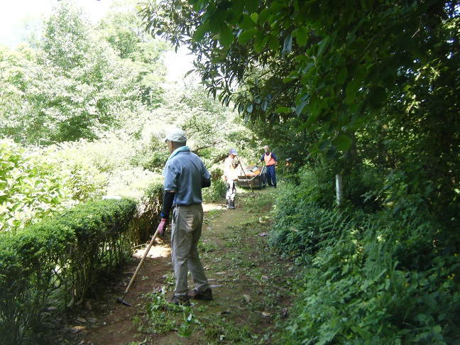 山野草ガーデン通路の除草