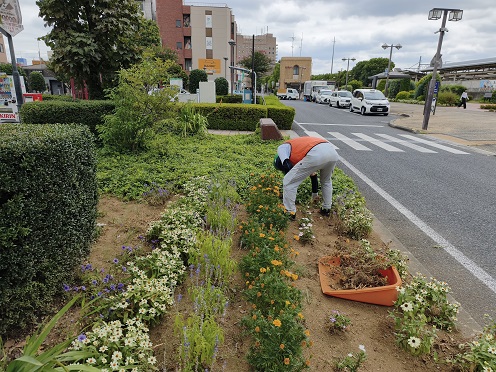 ステイションガーデン