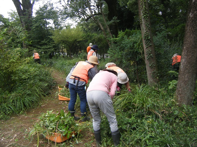 山野草ガーデン整備
