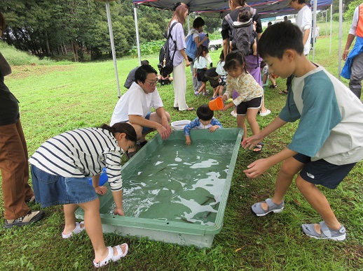 どじょうのつかみどり体験