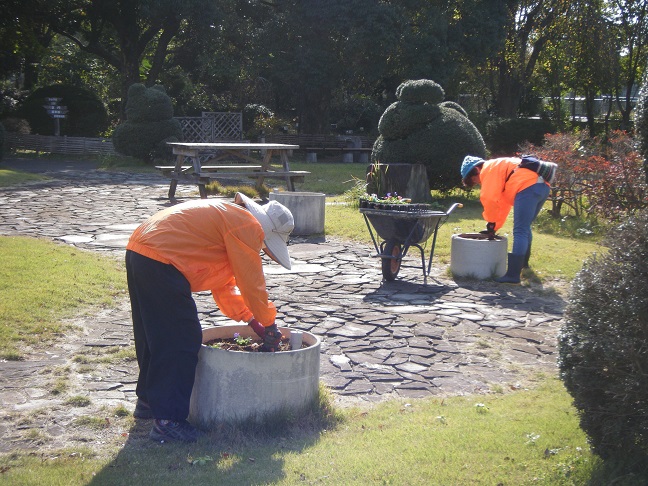 ロータリー植栽