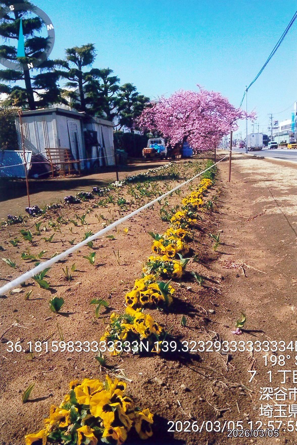 幡羅清掃倶楽部