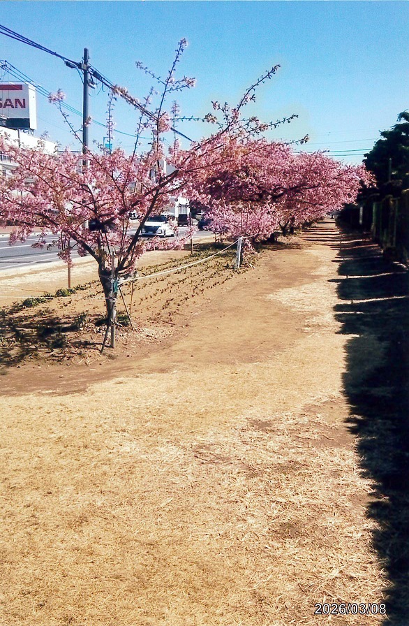 幡羅清掃倶楽部