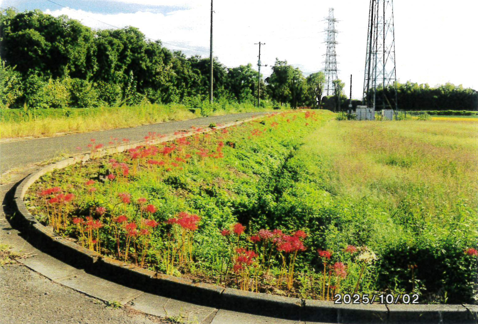 旧日本煉瓦上敷免工場西道路側面環境整備