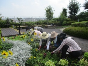 天空の散歩道除草活動