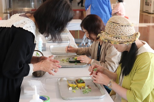 ラパンセ多肉植物寄せ植え教室