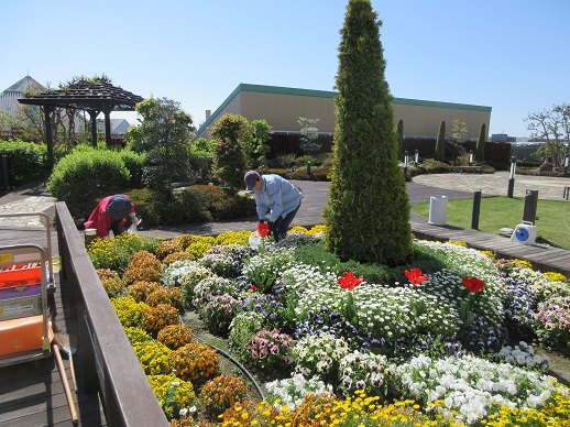 天空の散歩道除草作業
