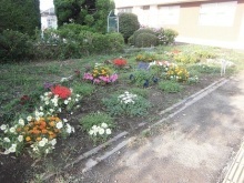 幡羅小学校