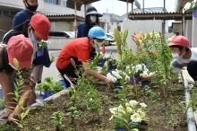 藤沢小学校