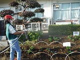 岡部西小学校