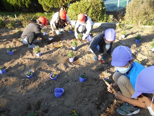 幡羅小学校