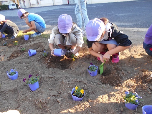 幡羅小学校