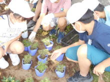 榛沢小学校