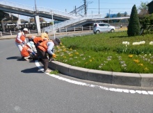 除草・花がら摘み