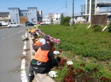 除草・花がら摘み