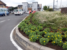 除草＆花がら摘み