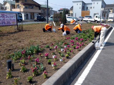 除草&花がら摘み