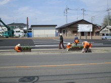 花がら摘み