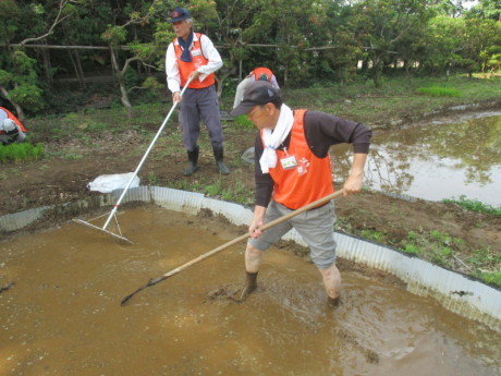 田植え準備