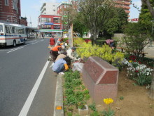 花がら摘み