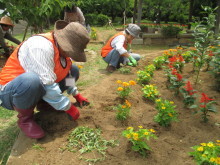 除草作業