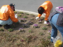 除草作業3