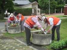 植栽