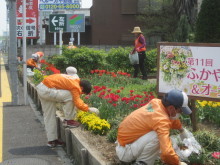 国道17号除草6