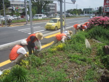 国道17号除草3