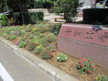 除草＆花がら摘み