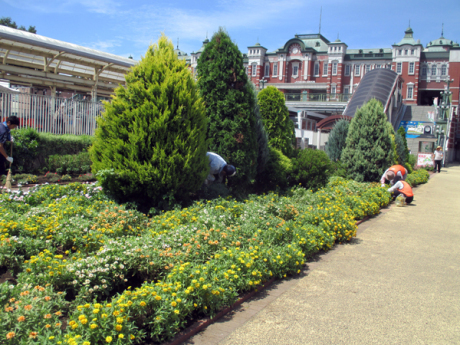 除草＆花がら摘み