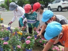 藤沢小学校