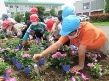 藤沢小学校