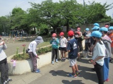 藤沢小学校