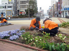 除草&花がら摘み