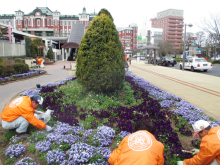 除草&花がら摘み