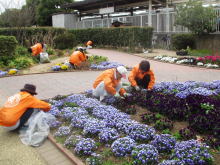 除草&花がら摘み