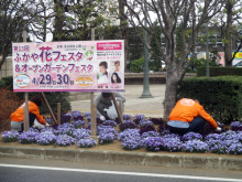 除草&花がら摘み