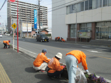 除草&花がら摘み