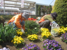 ステイション除草3