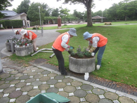 城址公園植栽1