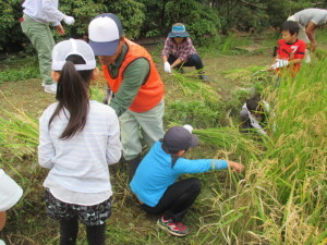 王国ボランティア10月